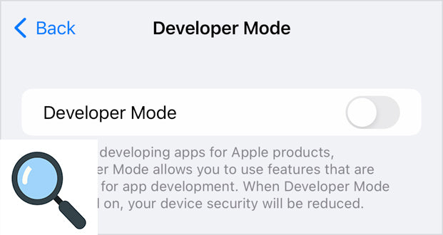 Simple Ways to Turn On Developer Mode on Your iPhone