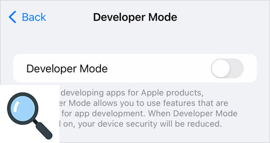 Simple Ways to Turn On Developer Mode on Your iPhone